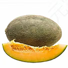 黄蛋子